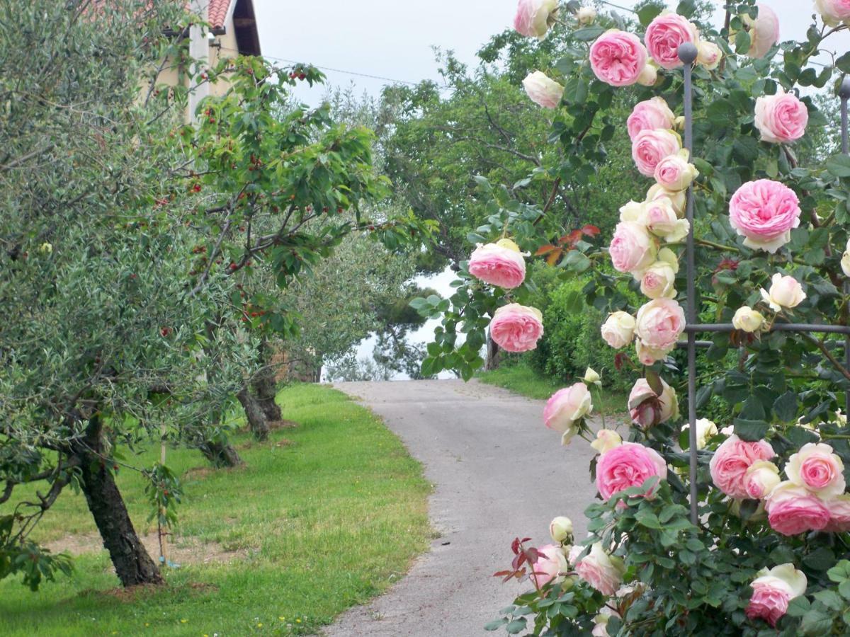 Holiday House Ida Marezige Eksteriør billede
